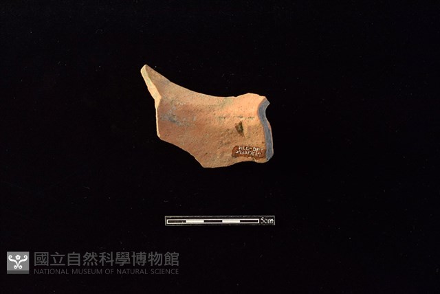 陶罐藏品圖，第2張