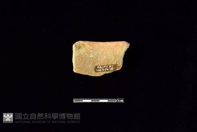 陶罐藏品圖，第2張