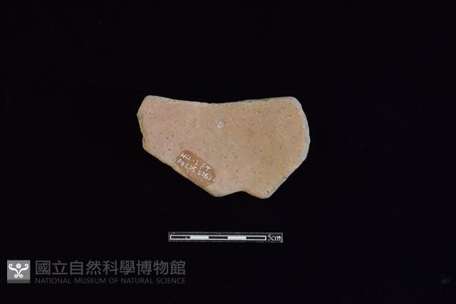 陶片藏品圖，第2張