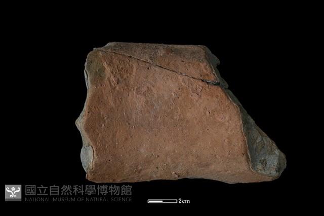 陶罐藏品圖，第2張