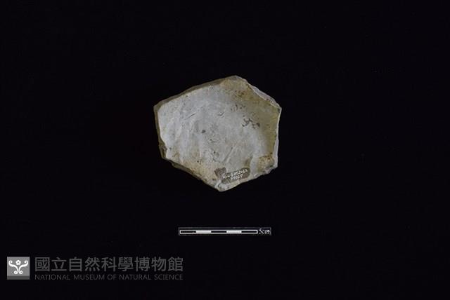 陶片藏品圖，第2張