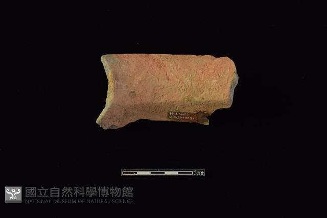 Accession Number:HLL-L-PT0163 Collection Image, Figure 2, Total 2 Figures