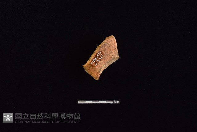 連杯形器藏品圖，第2張