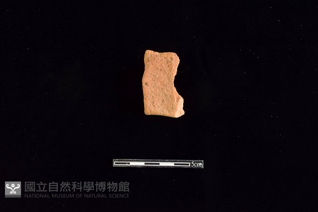 陶罐藏品圖，第2張