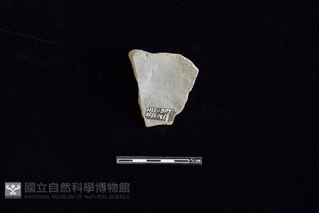 陶片藏品圖，第2張