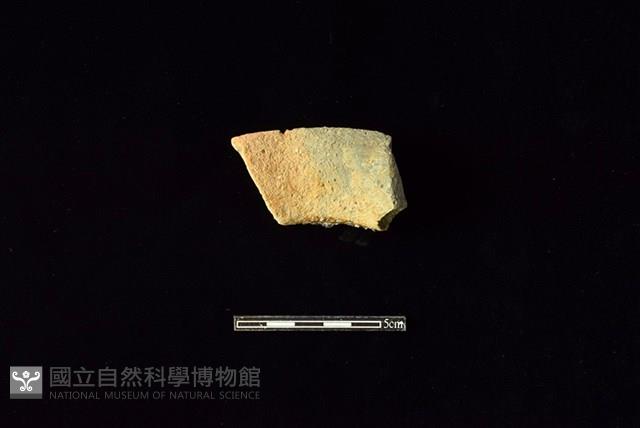 Accession Number:HLL-H PT0563 Collection Image, Figure 2, Total 2 Figures