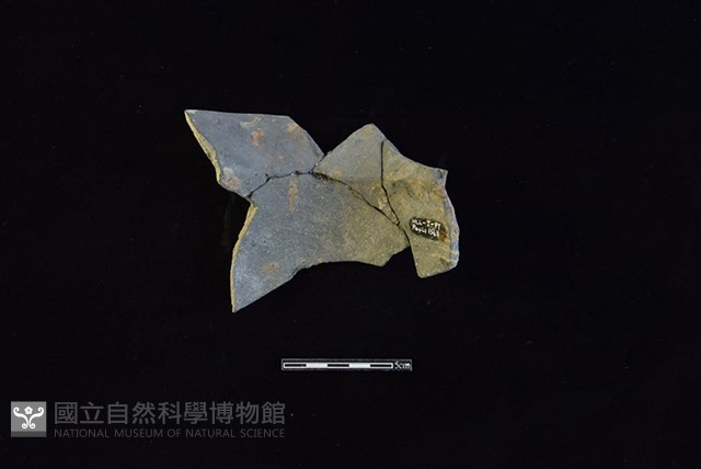 陶罐藏品圖，第2張