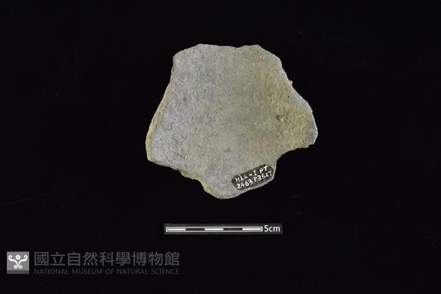 陶罐藏品圖，第2張