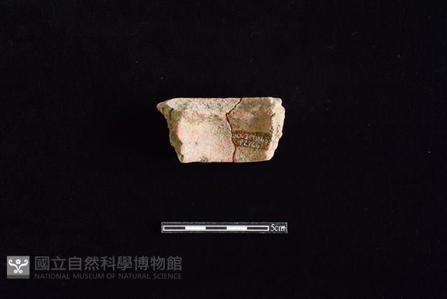 陶片藏品圖，第2張