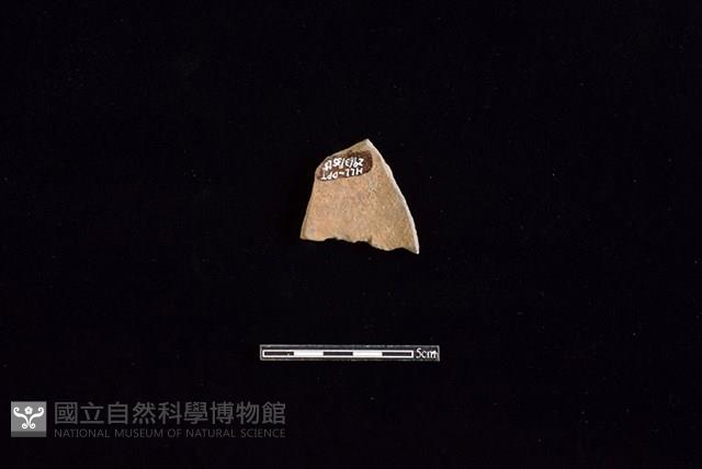 陶片藏品圖，第2張