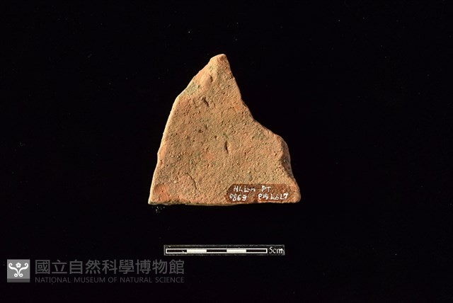 陶片藏品圖，第2張