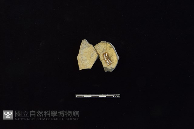 陶片藏品圖，第2張