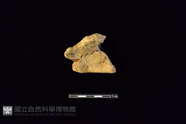 陶片藏品圖，第2張