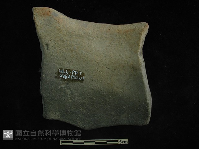 陶片藏品圖，第2張