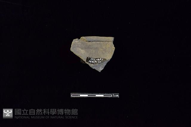 陶罐藏品圖，第2張