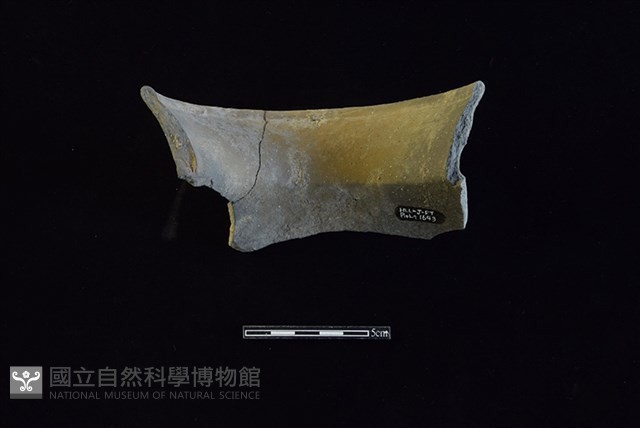 陶罐藏品圖，第2張