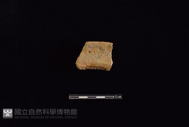 陶罐藏品圖，第2張