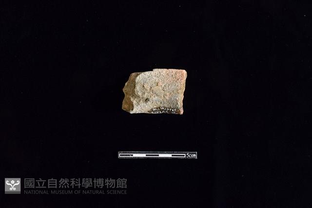 陶罐藏品圖，第2張