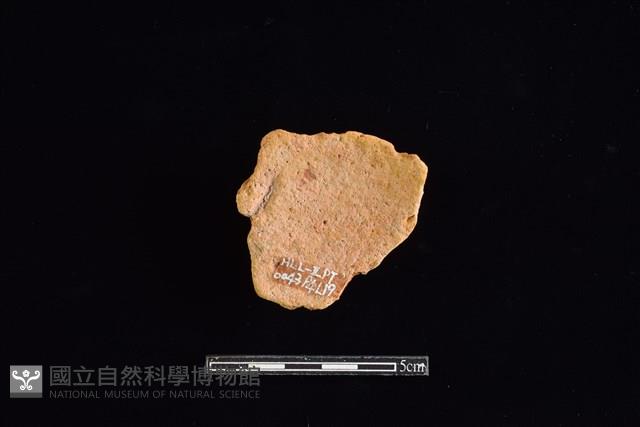 陶片藏品圖，第2張