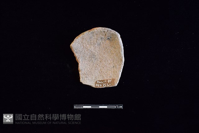 陶片藏品圖，第2張