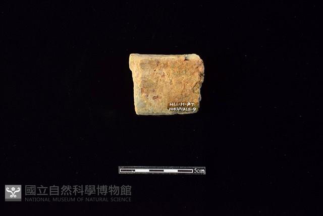 陶片藏品圖，第2張