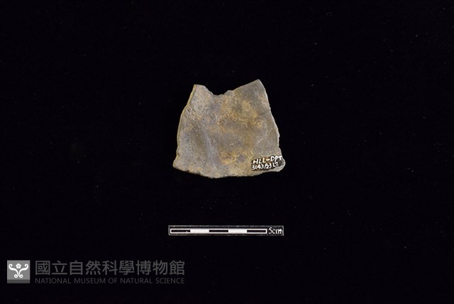 陶片藏品圖，第2張