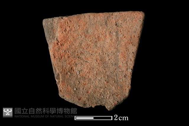 陶片藏品圖，第2張