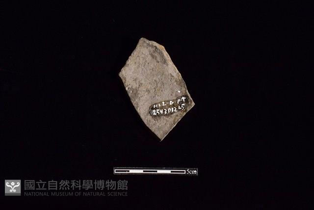 陶片藏品圖，第2張