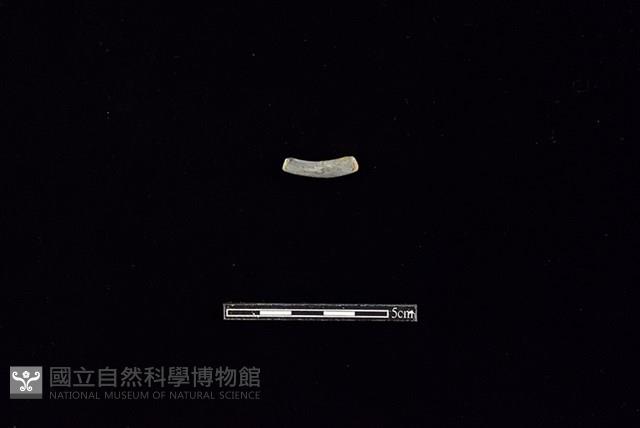 陶環藏品圖，第2張