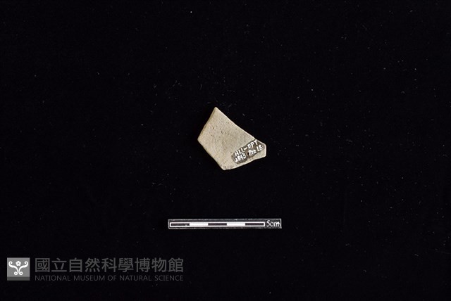 陶片藏品圖，第2張