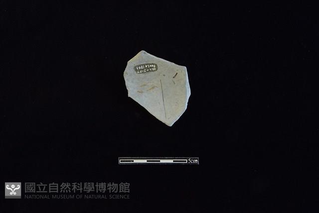 陶片藏品圖，第2張