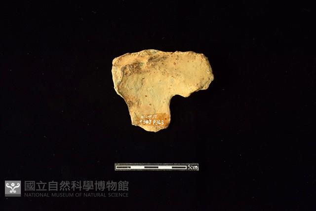 陶片藏品圖，第2張