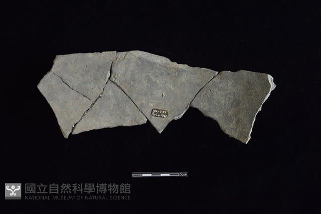 陶片藏品圖，第2張