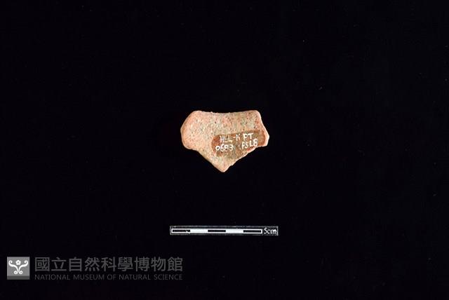 陶罐藏品圖，第2張