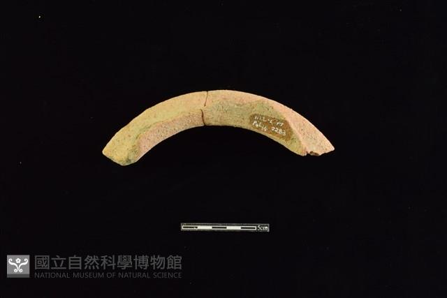 陶罐藏品圖，第2張