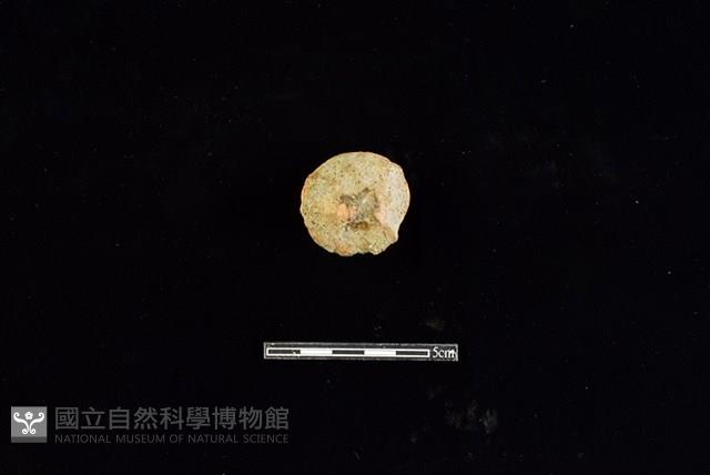 陶片藏品圖，第2張