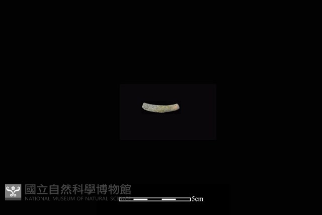 陶環藏品圖，第2張
