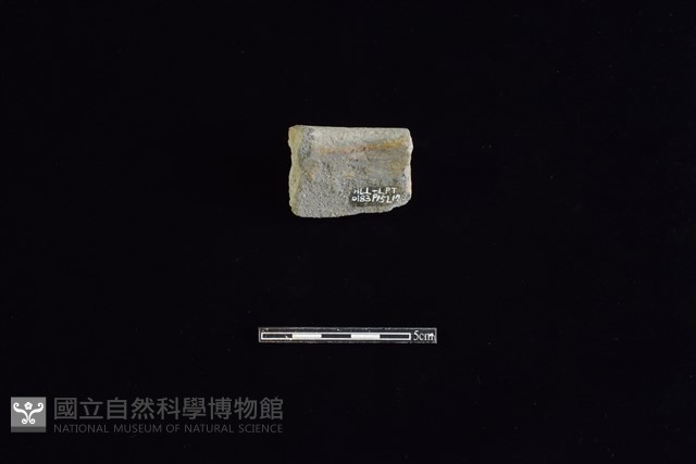 陶罐藏品圖，第2張
