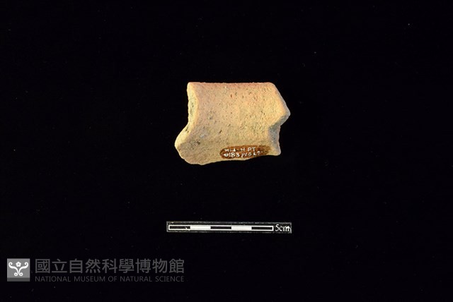陶罐藏品圖，第2張