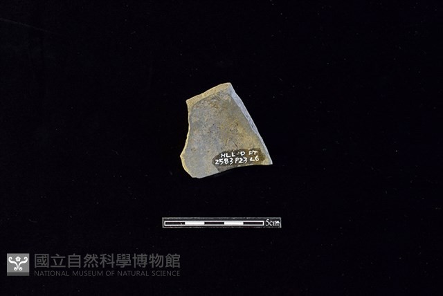 陶片藏品圖，第2張