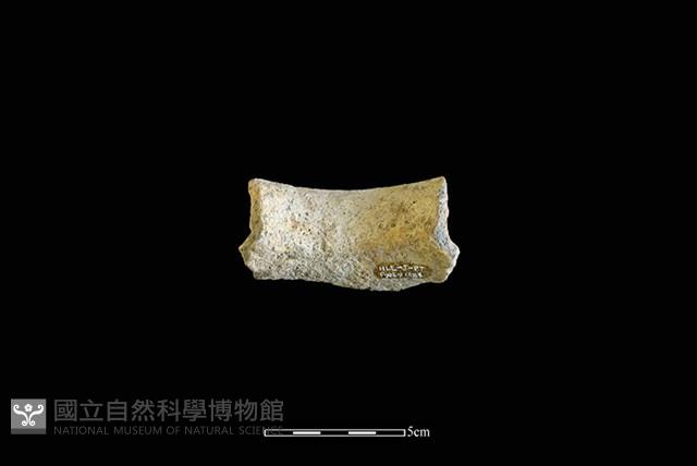 陶罐藏品圖，第2張