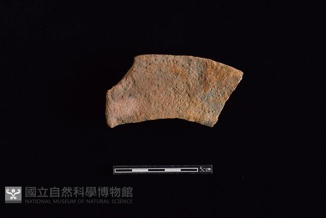 陶罐藏品圖，第2張