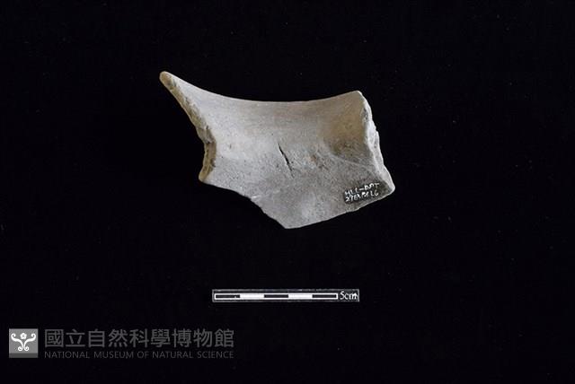 陶罐藏品圖，第2張