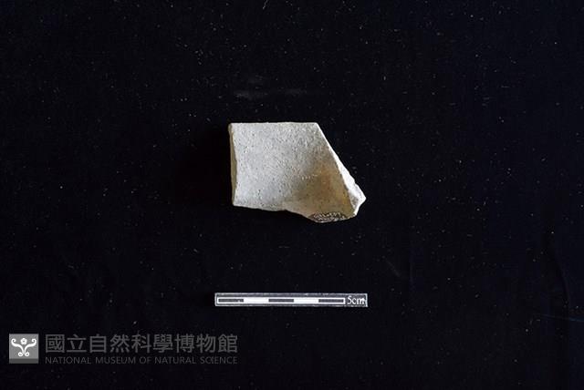 陶罐藏品圖，第2張