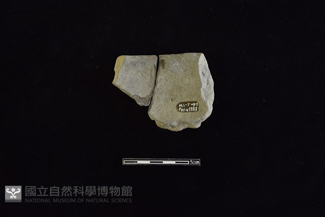 陶缽藏品圖，第2張
