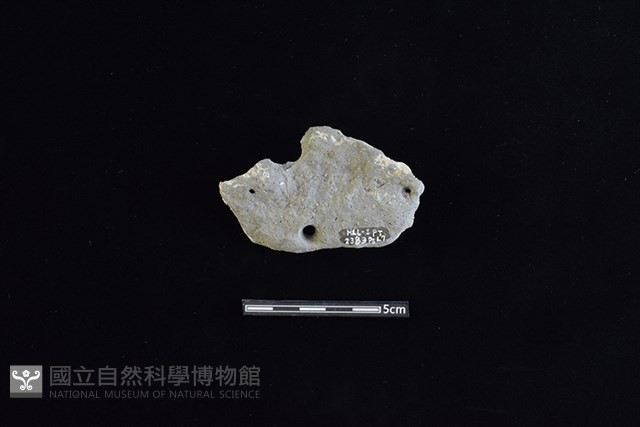 陶片藏品圖，第2張