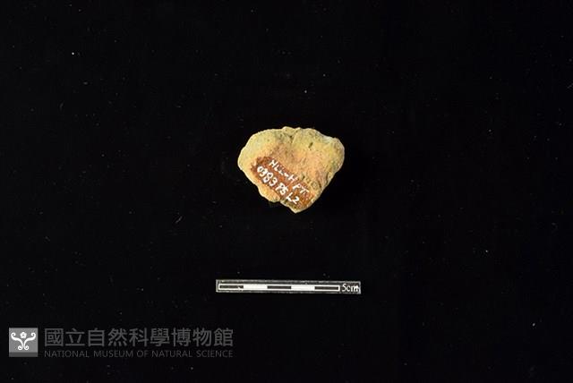 陶片藏品圖，第2張