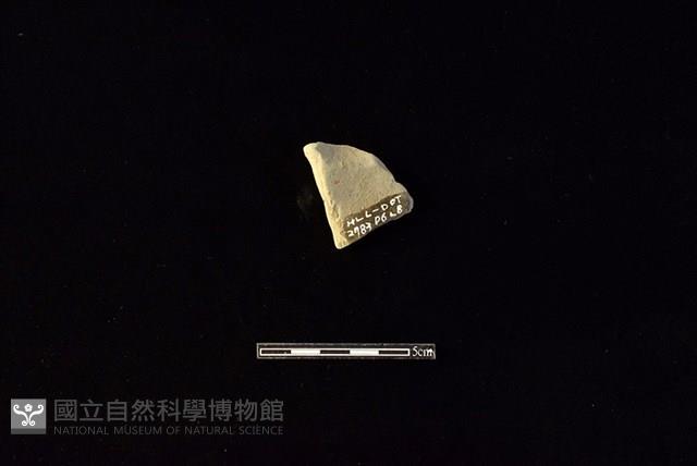 陶罐藏品圖，第2張