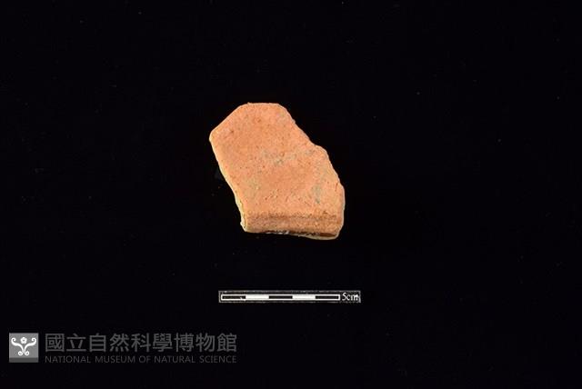 陶罐藏品圖，第2張