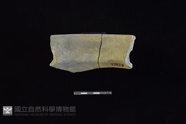 陶罐藏品圖，第2張